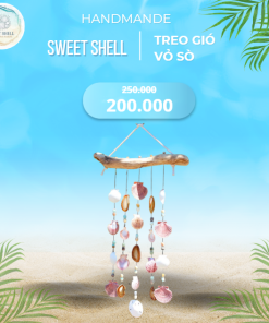 Treo gió vỏ sò